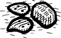 Carburetor Covers without Filter