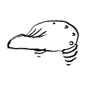 Selle