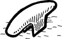 Front Fenders Custom
