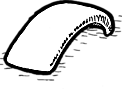 Universal Fenders Custom