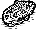 for Panhead