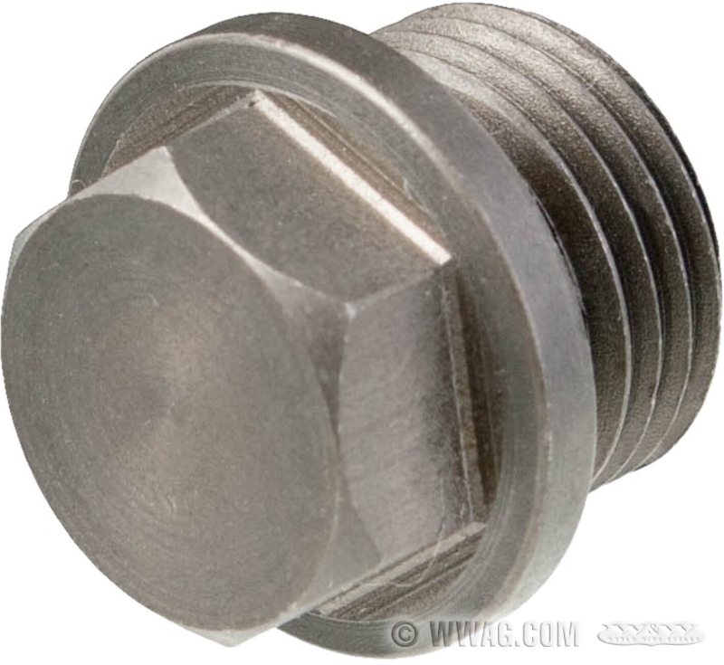 W&W Cycles Engine > Timing Hole and Oil Drain Plugs OEM Replacement