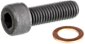 Bottom Screw for Showa Forks