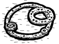 Gaskets for Clutch