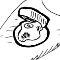 Ignition Switches