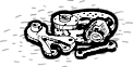 Springer Drum to Disc Brake Conversion Kit
