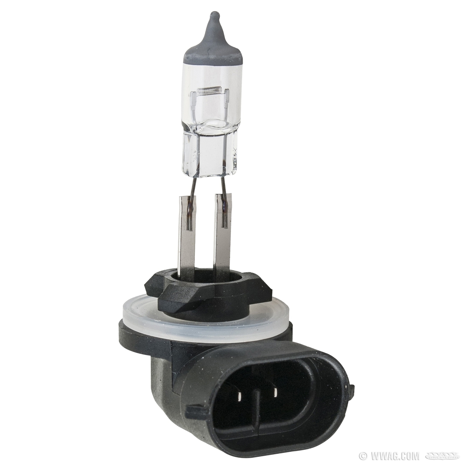 W&W Cycles - Lighting > Bulb H27W/2