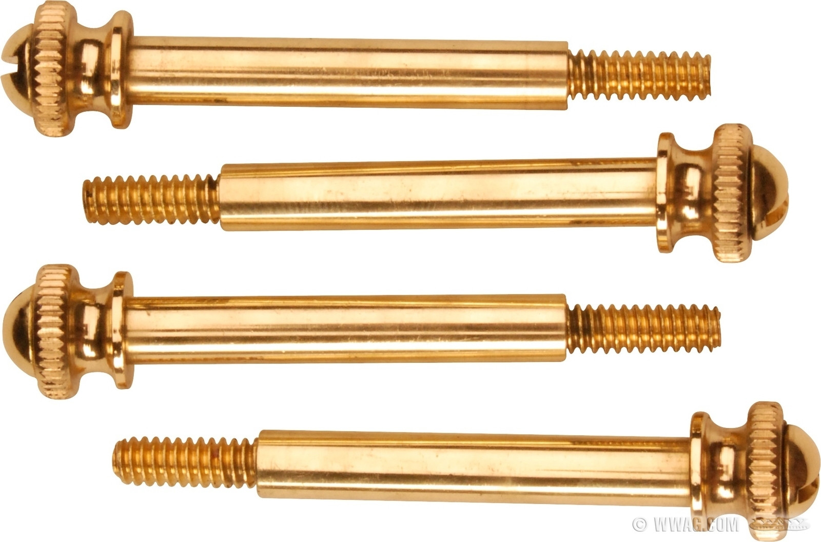 W&W Cycles Carburetor and Injection > Kwicky Float Bowl Screws