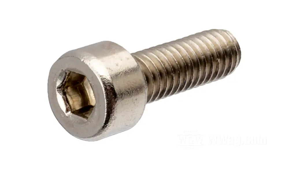 Socket Head Screw Stainless, M4 x 0.7, 12 mm
