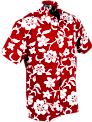 Hawaii Hibiscus