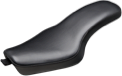 Sportster 2004-2006 und 2010-2020