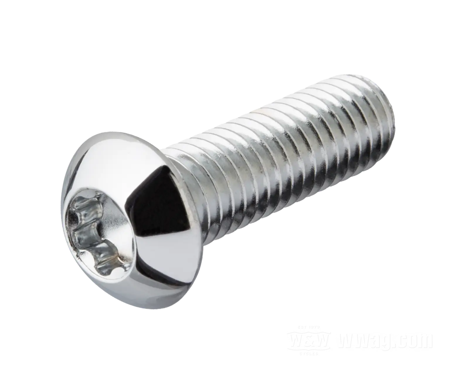 法螺貝　32.７cm Buttonhead Torx Screw Chrome, #8-32 x 1/4” (6 mm)