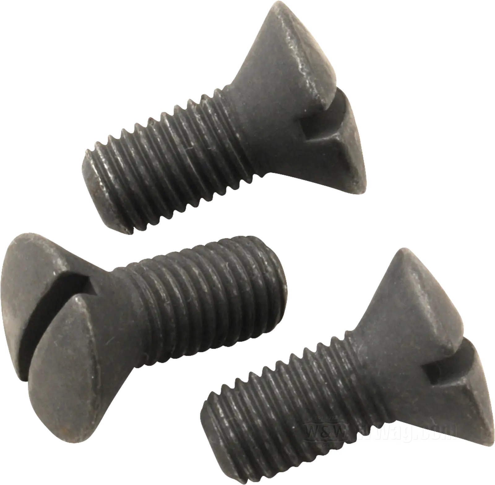 Shifter Guide Mounting Screws, chrome