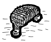 Regolatori per Twin Cam