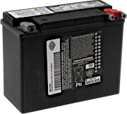 OEM Low Maintenance AGM Batteries