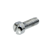 Slotted Fillister Head Screws Chrome-plated