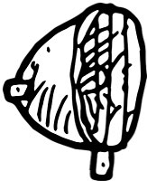 Beleuchtung