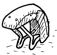 Schutzbleche