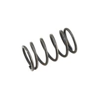 Springs for Solenoid Plunger