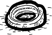 Oil Seals