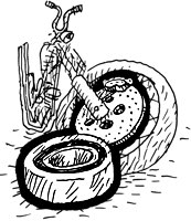 for Disc Brake Wheels