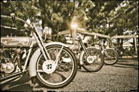 Wheels and Fenders