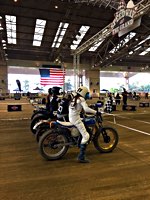 BORN FREE's Stampede features 