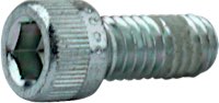 Screws for Manifold Flanges