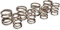 Andrews Valve Springs