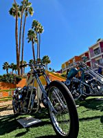 2020 - Paradise Road Show, Palm Springs, USA