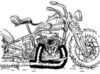 Flathead