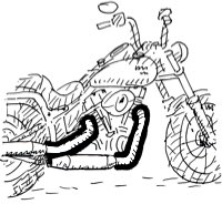 Softail