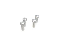 Fork Tube Cover Screws for FL(H)