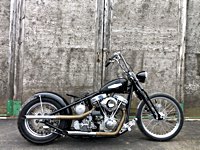 Picture courtesy of SkinnyChoppers.com