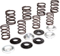 S&S Valve Springs