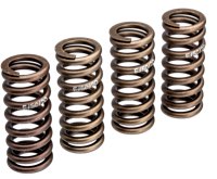 Eibach Valve Springs WR Flathead