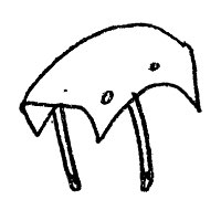 Parafanghi