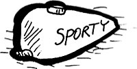 für Sportster