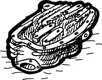 for Panhead