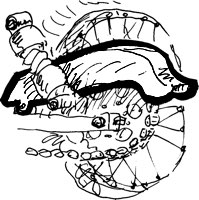 Protezioni catena