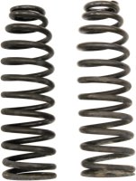 Springs for I-Beam and Classic Springer Forks