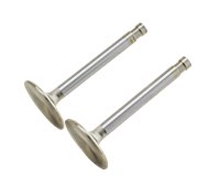 Manley Intake Valves