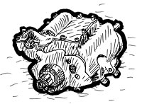 pour 3 vitesses 45 cui/750 cc 1936→