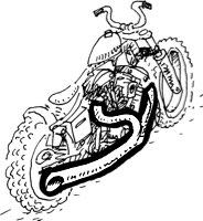 Exhaust Systems