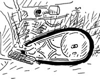Tapas transmisión primaria para monocilindricas y 45cui/750cc 1926-1973