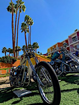 2020 - Paradise Road Show, Palm Springs, USA
