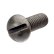 Slotted Round Head Screws Parkerized