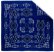 Carolina Mfg. Paisley Bandanas