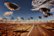 Bates Flying Saucer Mirrors for Controls