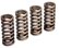 Eibach Valve Springs WR Flathead